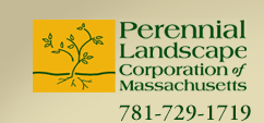Perennial Landscape Logo