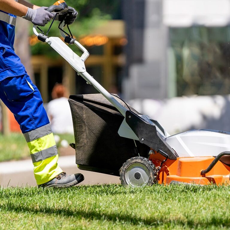 Perennial Landscape Corporation Winchester MA Concord MA Lexington MA Andover MA