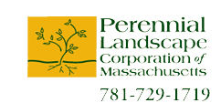 Perennial Landscape Corporation of Massachusetts