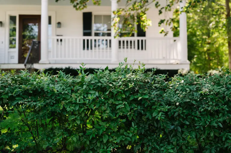 Perennial Landscape Corporation offers high-end landscaping services in: Andover, MA Concord, MA Lexington, MA Winchester, MA