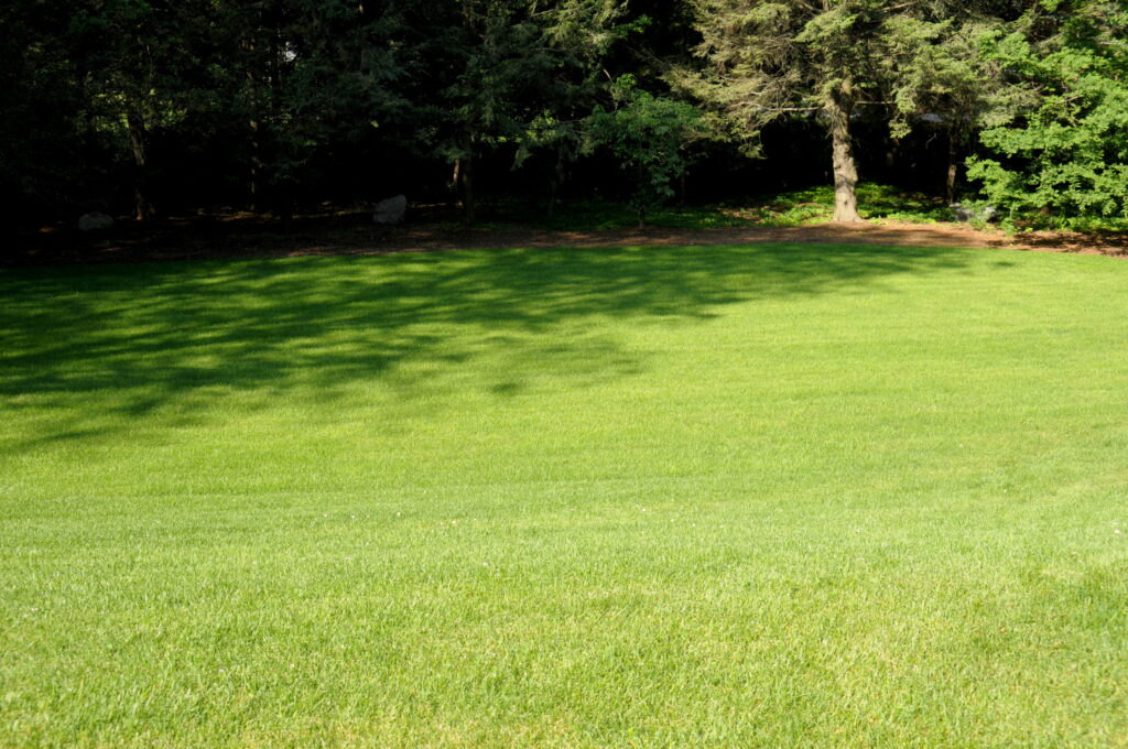 Perennial Landscape Corporation | Winchester, MA | Concord, MA | Lexington, MA | Andover, MA