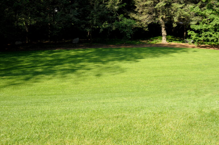 Perennial Landscape Corporation | Winchester, MA | Concord, MA | Lexington, MA | Andover, MA