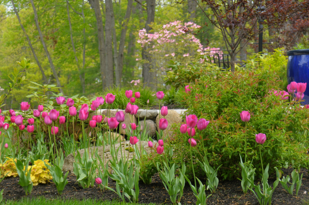 Landscaping Trend Predictions for 2026