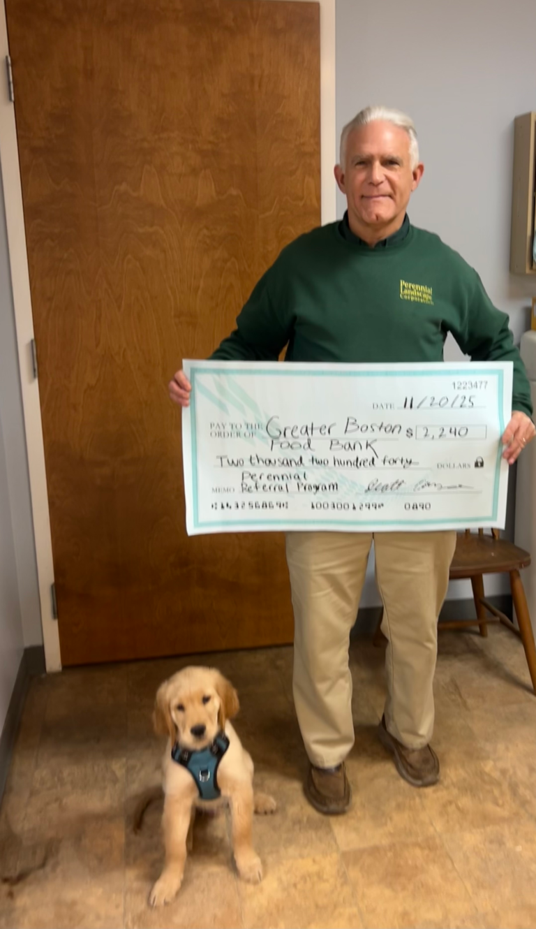 Perennial Landscape Corporation | Winchester, MA | Concord, MA | Lexington, MA | Andover, MA