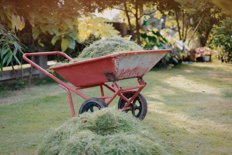 Perennial Landscape Corporation Winchester MA Concord MA Lexington MA Andover MA