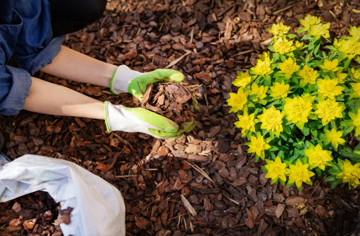 Perennial Landscape Corporation Winchester, MA Concord, MA Lexington, MA Andover, MA