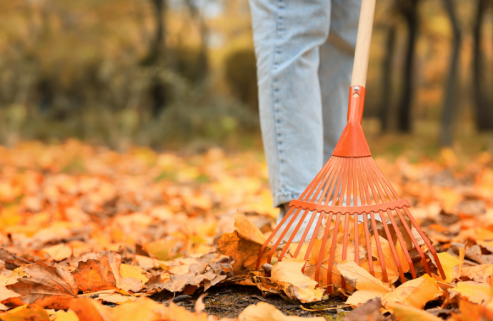 Benefits of a Fall Cleanup